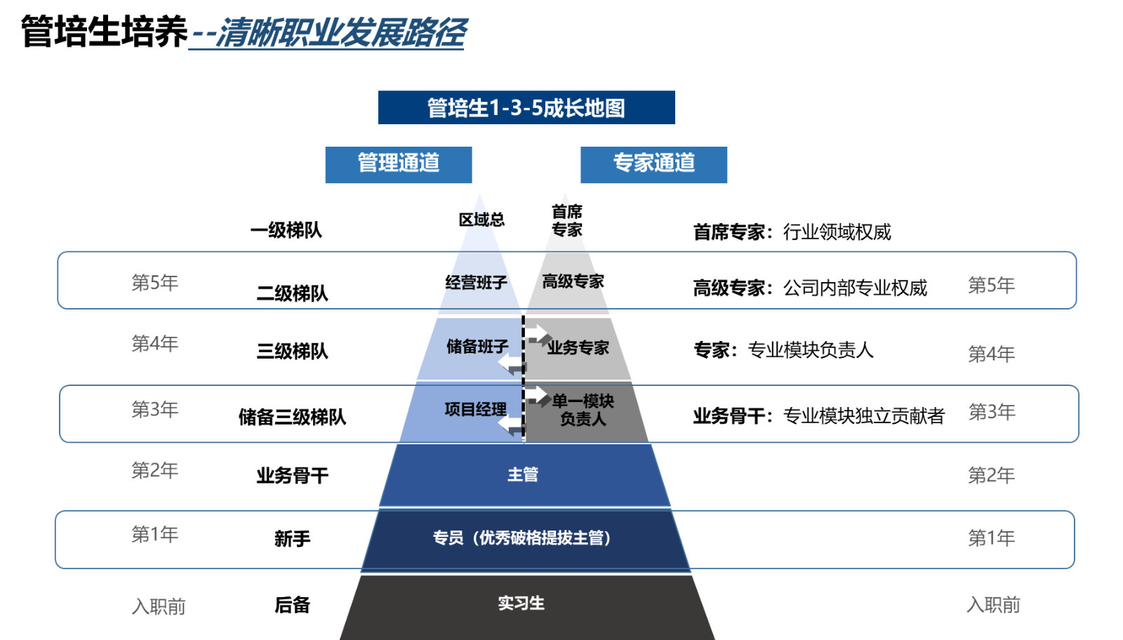 管培生135培养地图.png